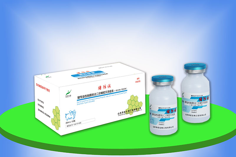 豬傳染性胸膜肺炎二價蜂膠滅活疫苗（1型CD株+7型BZ株）